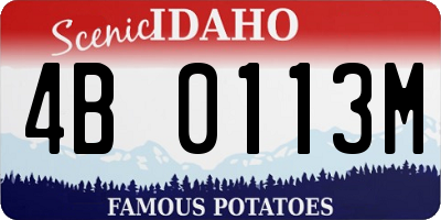 ID license plate 4B0113M