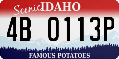 ID license plate 4B0113P