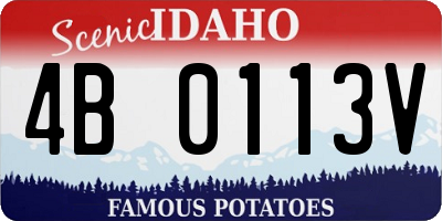 ID license plate 4B0113V