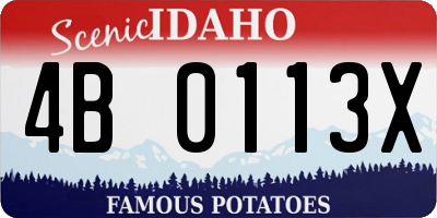 ID license plate 4B0113X