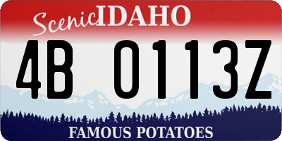 ID license plate 4B0113Z