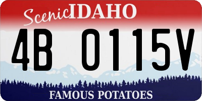 ID license plate 4B0115V