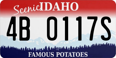 ID license plate 4B0117S