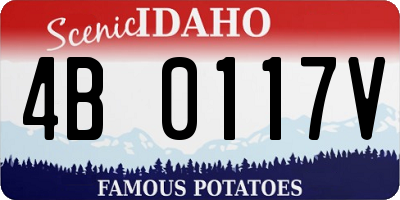 ID license plate 4B0117V