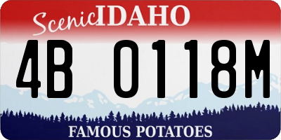 ID license plate 4B0118M