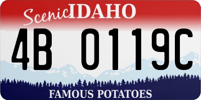 ID license plate 4B0119C