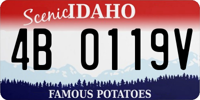 ID license plate 4B0119V