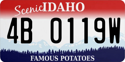 ID license plate 4B0119W