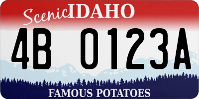 ID license plate 4B0123A