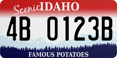 ID license plate 4B0123B