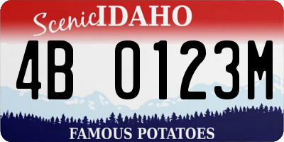 ID license plate 4B0123M