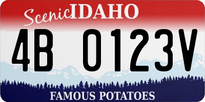 ID license plate 4B0123V