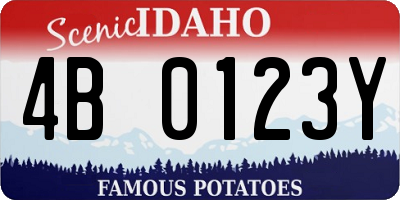 ID license plate 4B0123Y