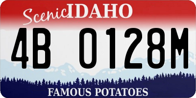 ID license plate 4B0128M