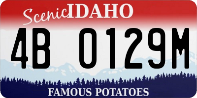 ID license plate 4B0129M