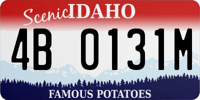 ID license plate 4B0131M