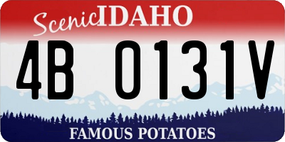 ID license plate 4B0131V