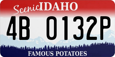 ID license plate 4B0132P
