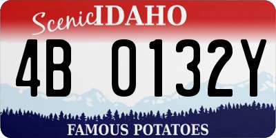 ID license plate 4B0132Y