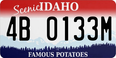 ID license plate 4B0133M