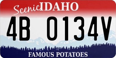 ID license plate 4B0134V