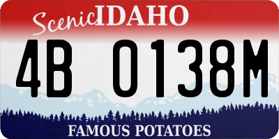 ID license plate 4B0138M
