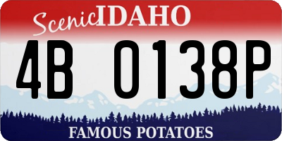 ID license plate 4B0138P