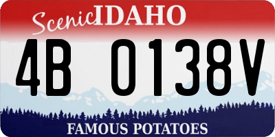 ID license plate 4B0138V