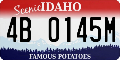 ID license plate 4B0145M