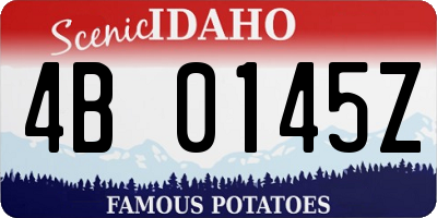 ID license plate 4B0145Z