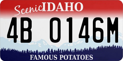 ID license plate 4B0146M