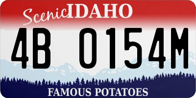 ID license plate 4B0154M