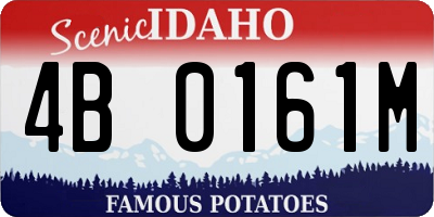 ID license plate 4B0161M