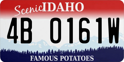 ID license plate 4B0161W