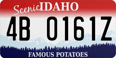 ID license plate 4B0161Z