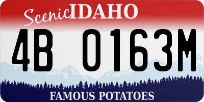 ID license plate 4B0163M