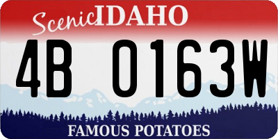 ID license plate 4B0163W