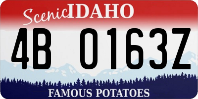 ID license plate 4B0163Z