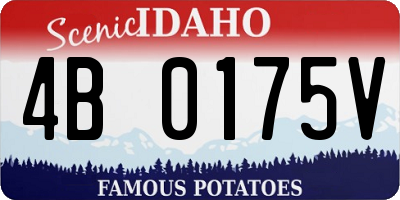 ID license plate 4B0175V