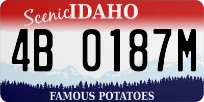 ID license plate 4B0187M