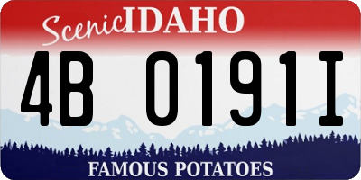 ID license plate 4B0191I