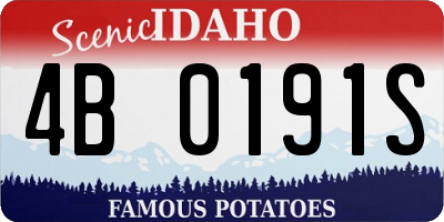 ID license plate 4B0191S