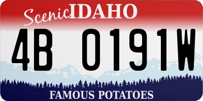 ID license plate 4B0191W