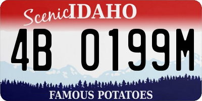 ID license plate 4B0199M