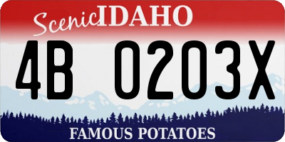 ID license plate 4B0203X