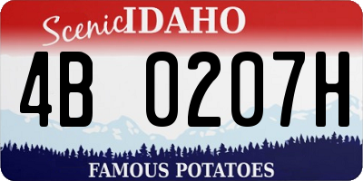 ID license plate 4B0207H