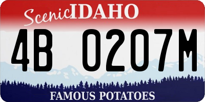 ID license plate 4B0207M