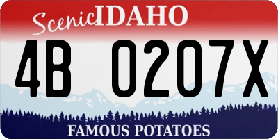 ID license plate 4B0207X