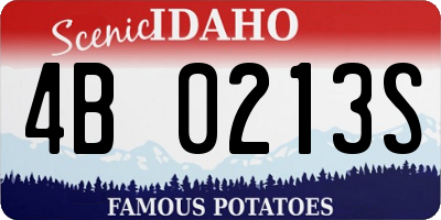 ID license plate 4B0213S