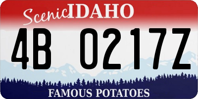 ID license plate 4B0217Z